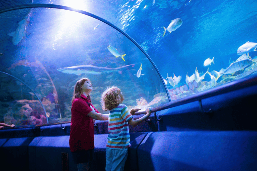 North Carolina Aquarium at Fort Fisher Marine Wonders Await!