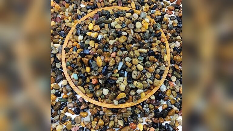 Fish Tank Size for Goldfish: Ultimate Guide to Perfect Aquarium Setup ...