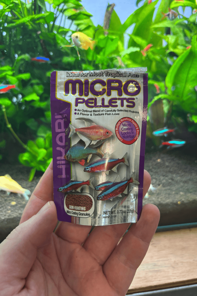 Fish Food For Neon Tetras