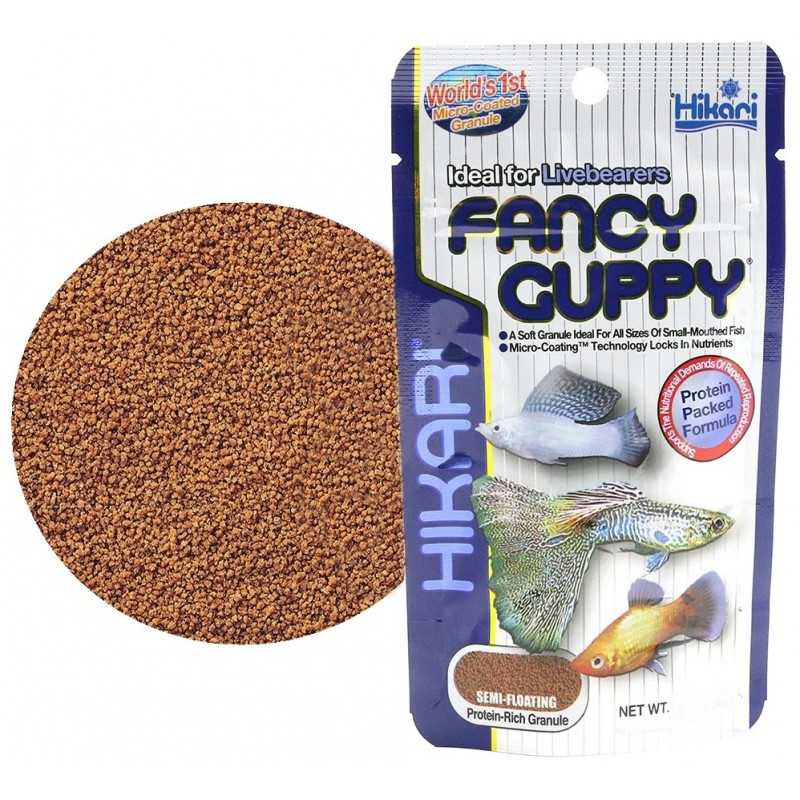 Fish Food For Guppies